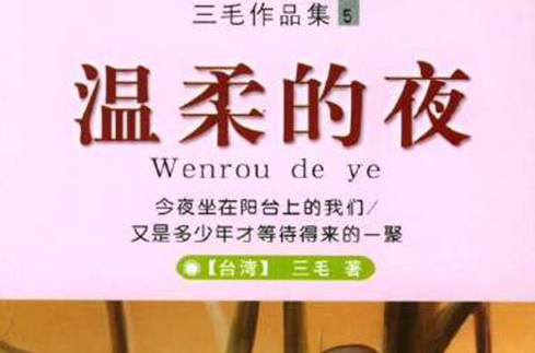 三毛全集:温柔的夜