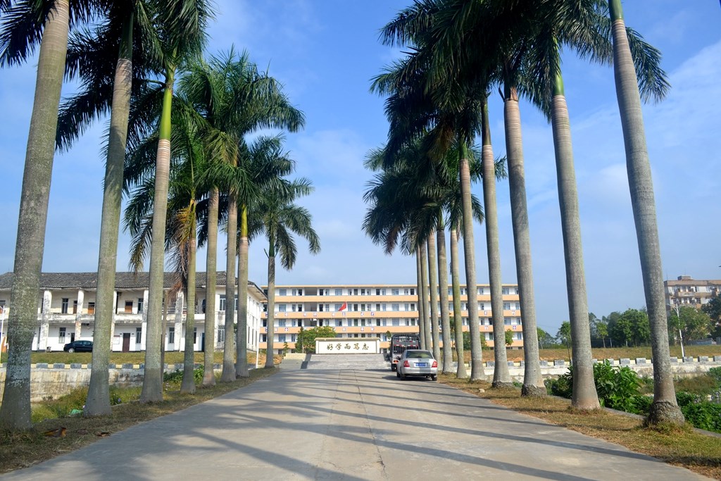 凤山中学,位于 a target="_blank" href="/item/广西壮族自治区