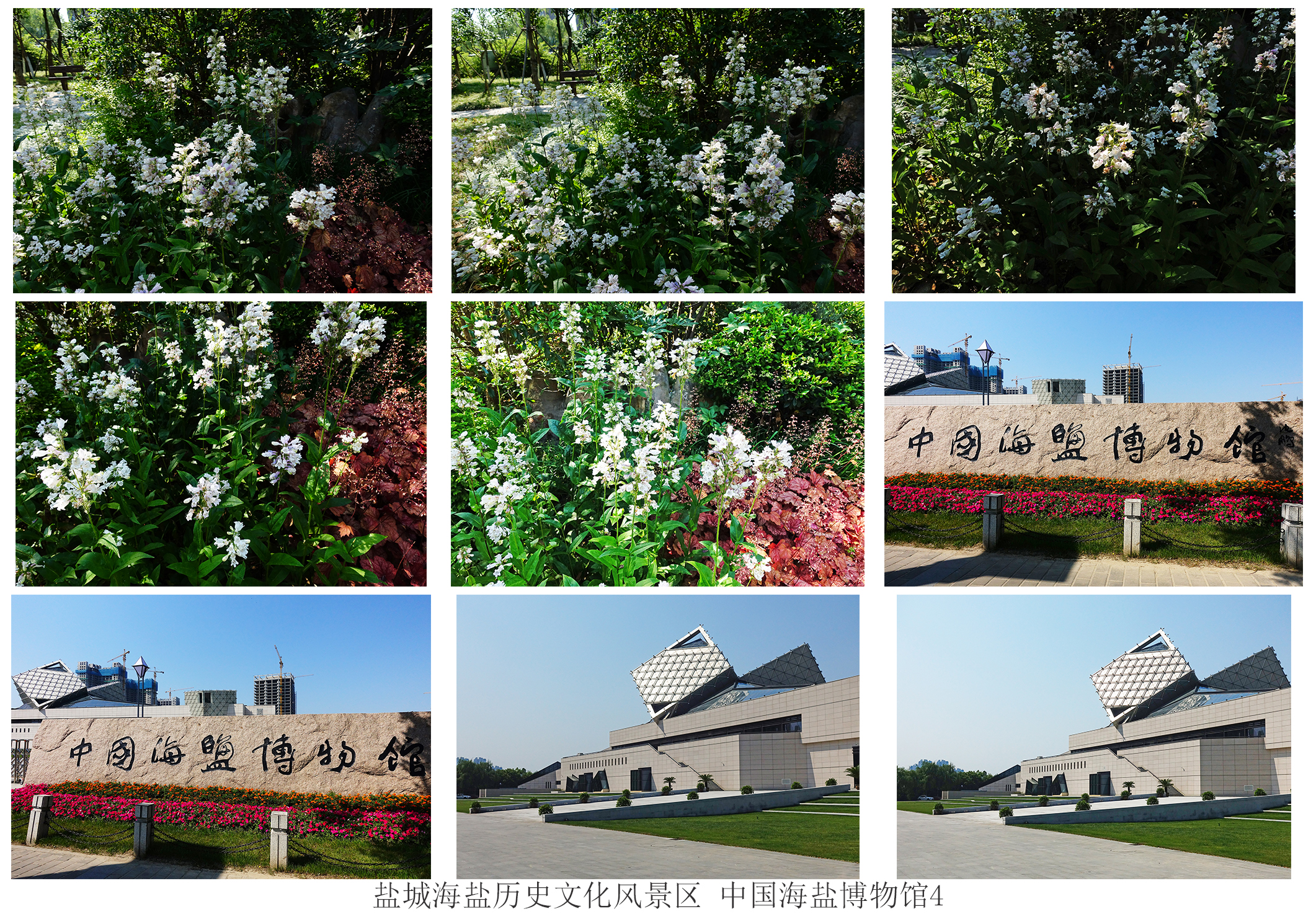 盐城海盐博物馆