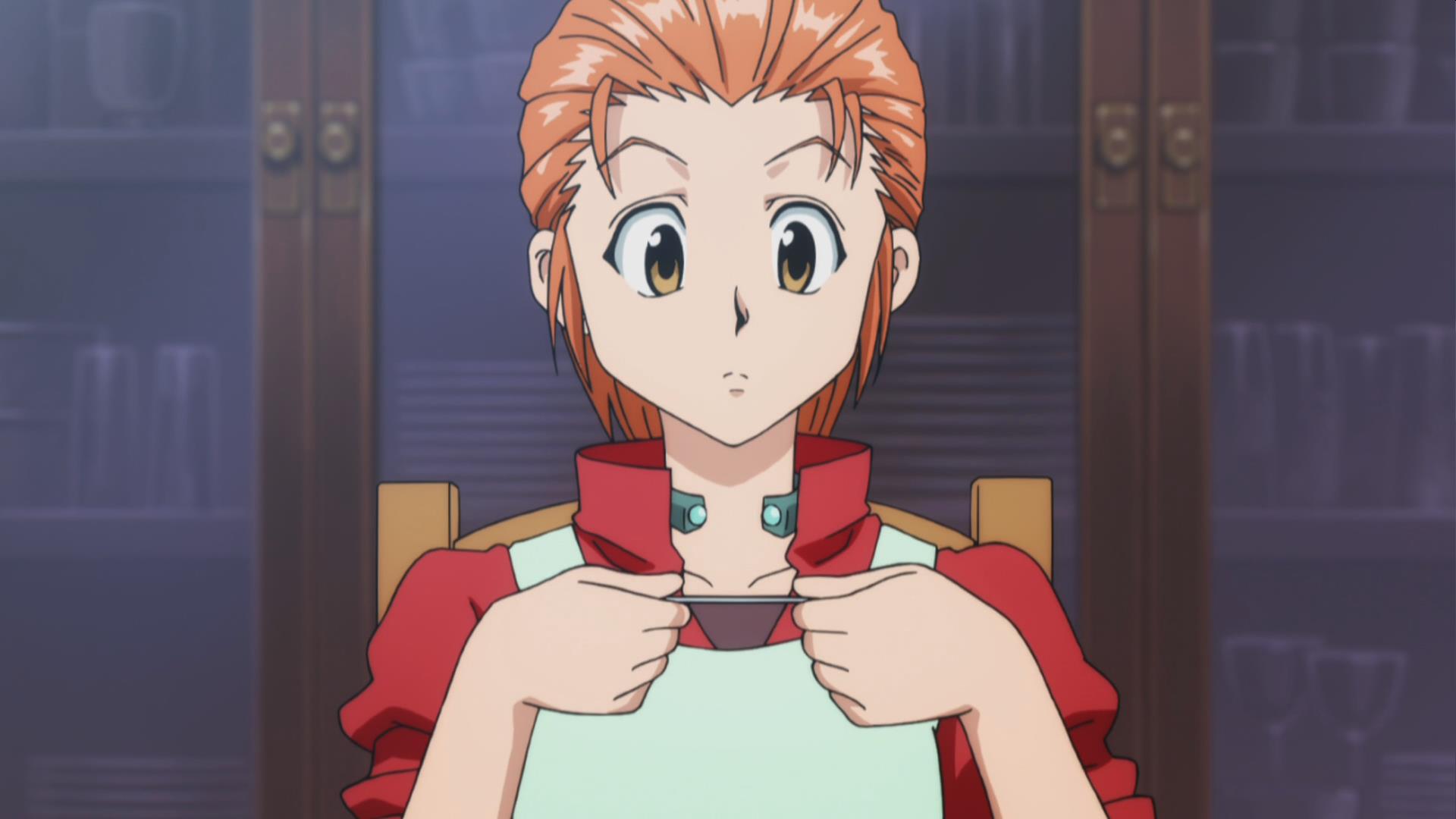 ">米特,日本漫画《 a target="_blank" href="/item/全职猎人/27763"