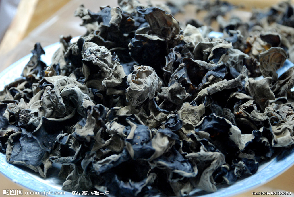  p>木耳,又叫云耳,桑耳,是我国重要的食用菌,有广泛的自然分布和人工