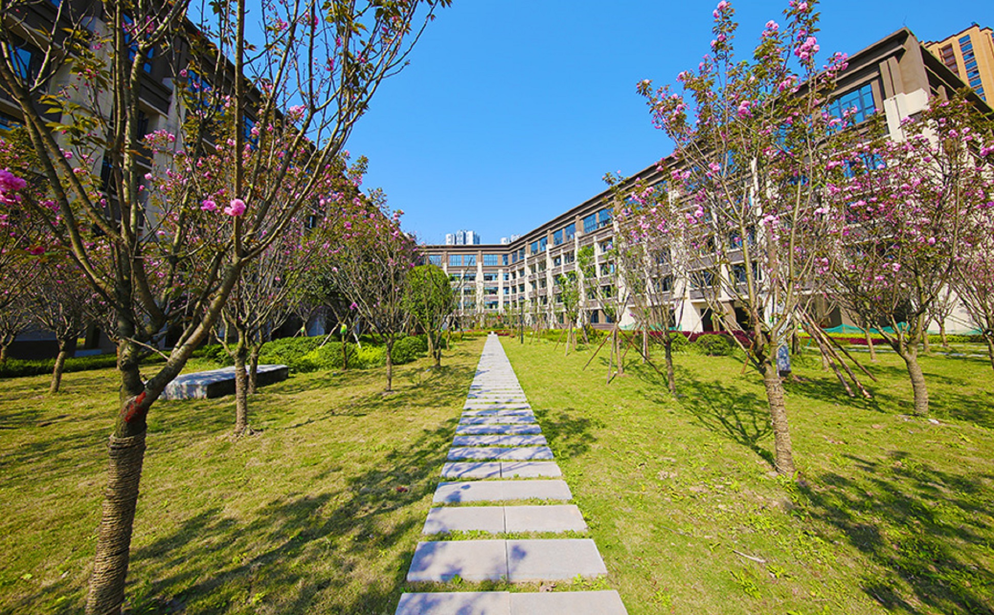  p>重庆市杨家坪中学始建于1957年,时名"四川省重庆杨家坪初级中学".