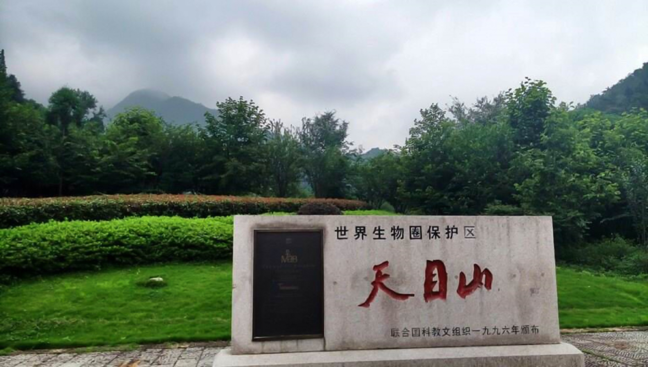 天目山旅游攻略(天目山旅游攻略自驾游)