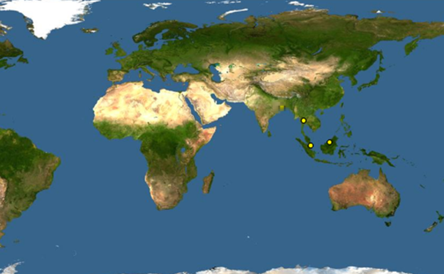  p>咸水龟(学名: i>batagur borneoensis /i>)是淡水龟科,咸水龟属的