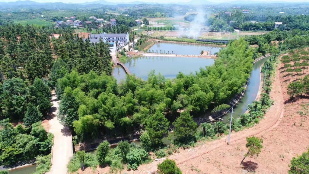 新市镇