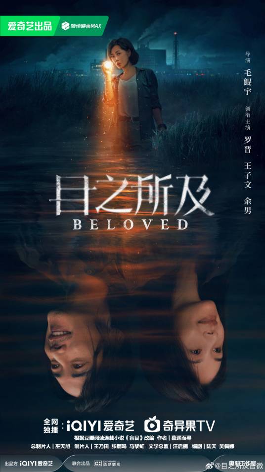 目之所及（2025年毛鲲宇执导的悬疑剧）_百度百科