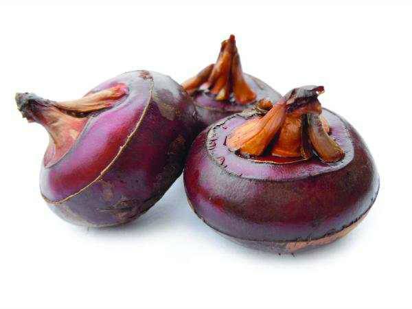  p data-id="tzaffu1qrjqj">菩荠,是莎草科荸荠属的浅水性宿根草本.