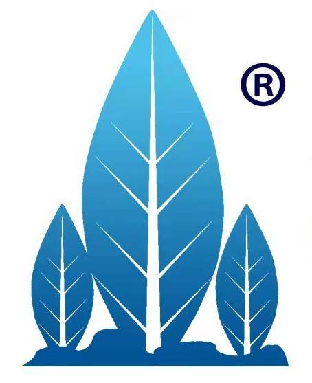 中大国际集团有限公司_百度百科