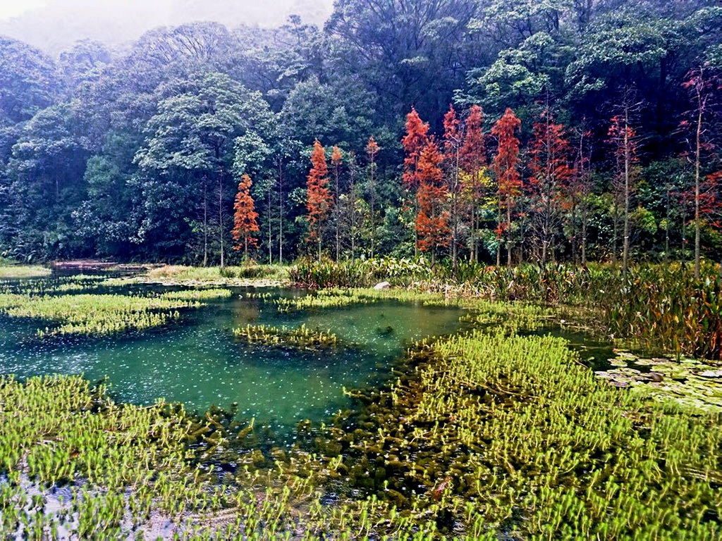  p data-id="gnx3pbb74k">绿岛森林公园坐落在有"东方鲁尔"之称的沈阳