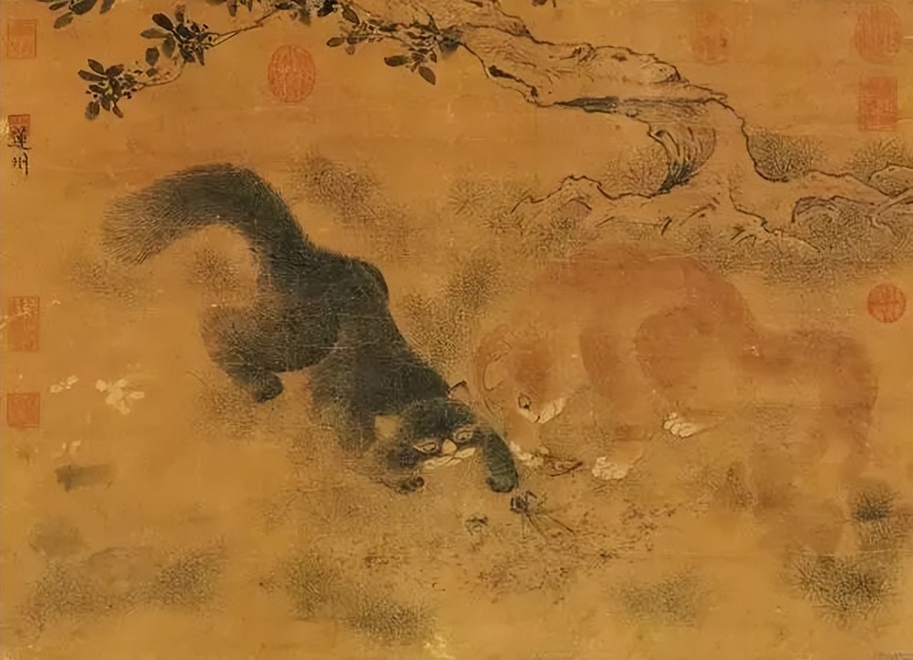 青海地区的“猫鬼神”，到底是什么神，为何被不少家庭世代供奉_百科TA说