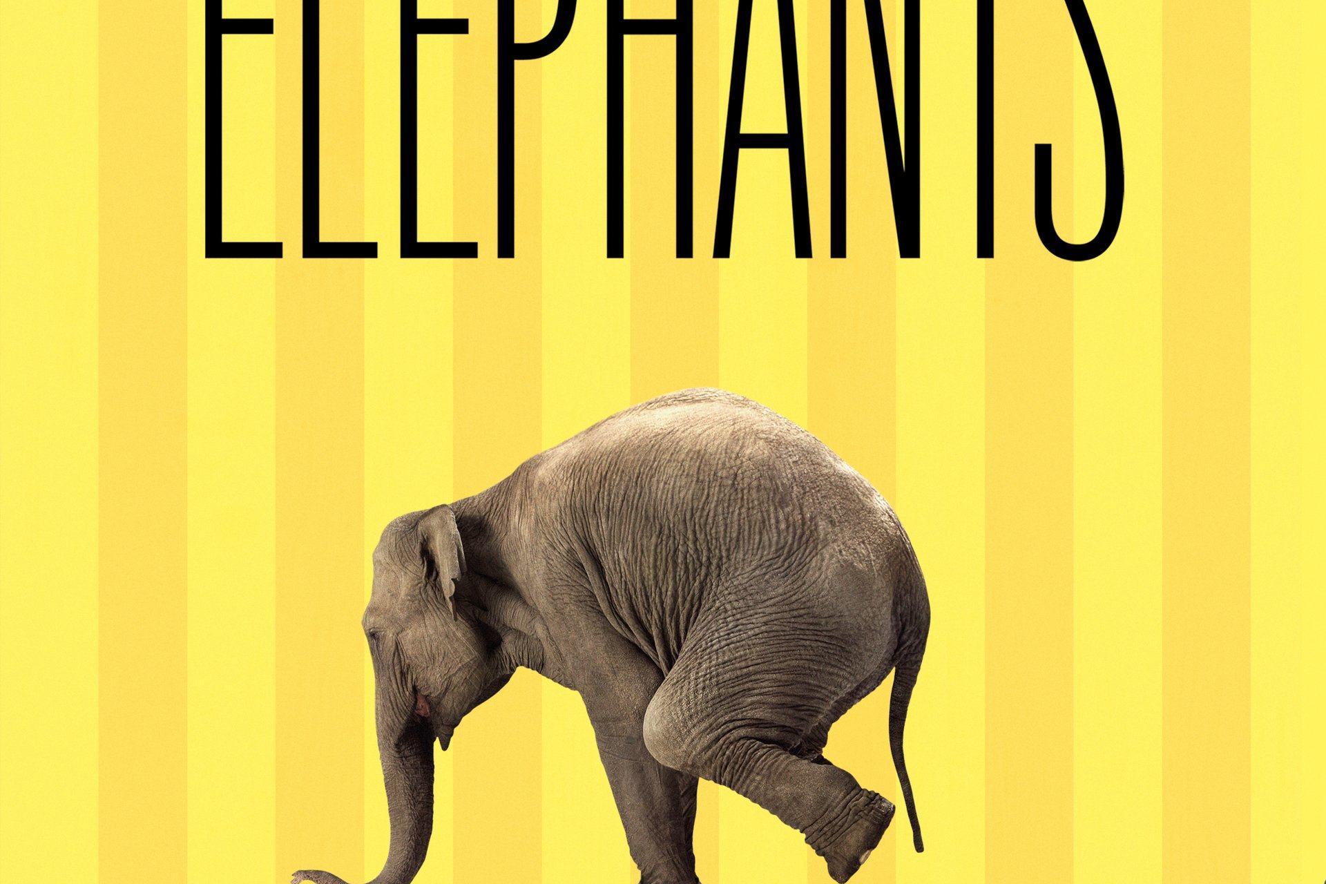  p>《抱歉啊,大象》是一部纪录片,共1集,播放平台为腾讯视频. /p>