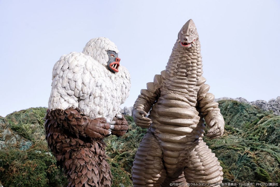 冷冻怪兽齐卡斯