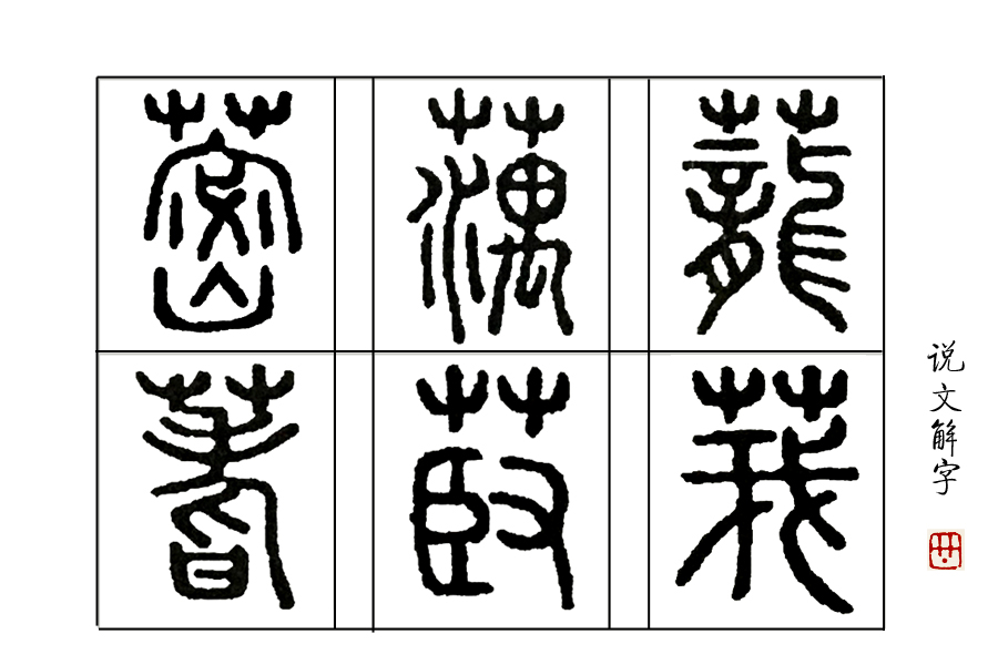 古文《周易》里，为什么选择蓍草来占卜吉凶？_百科TA说