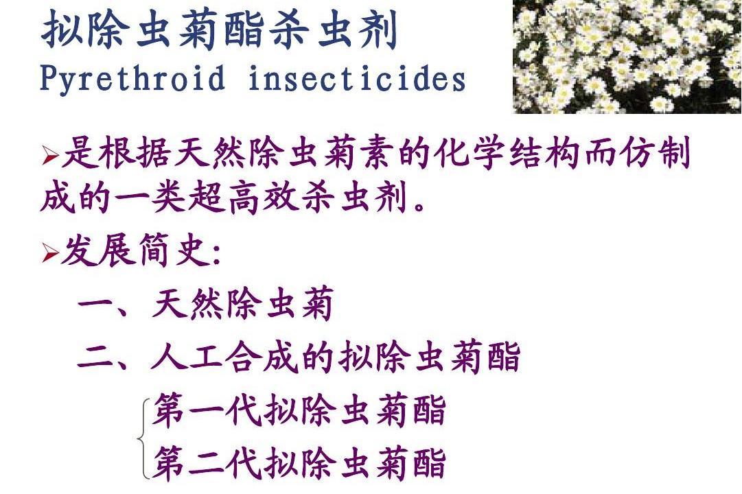 拟除虫菊酯杀虫剂