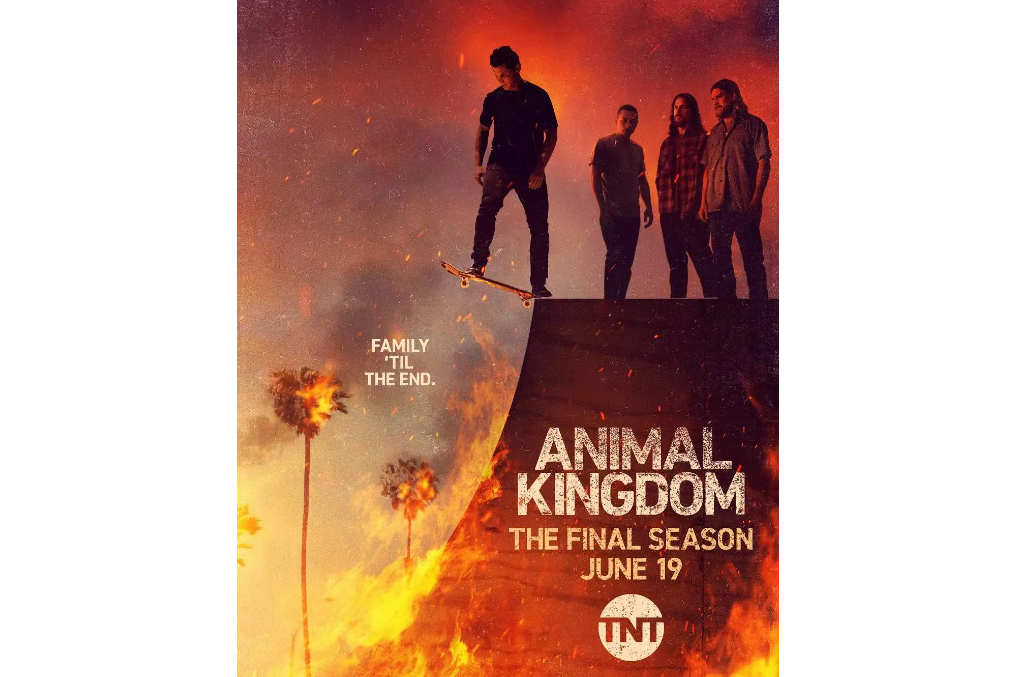 野兽家族第六季