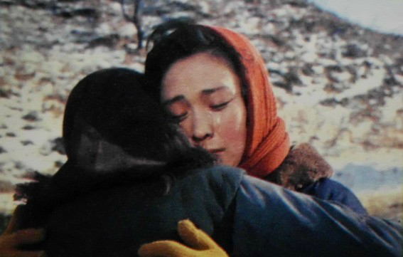 白杨树下