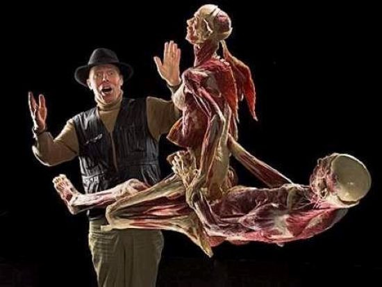  p>法医学(forensic medicine):是应用 a target="_blank" href="