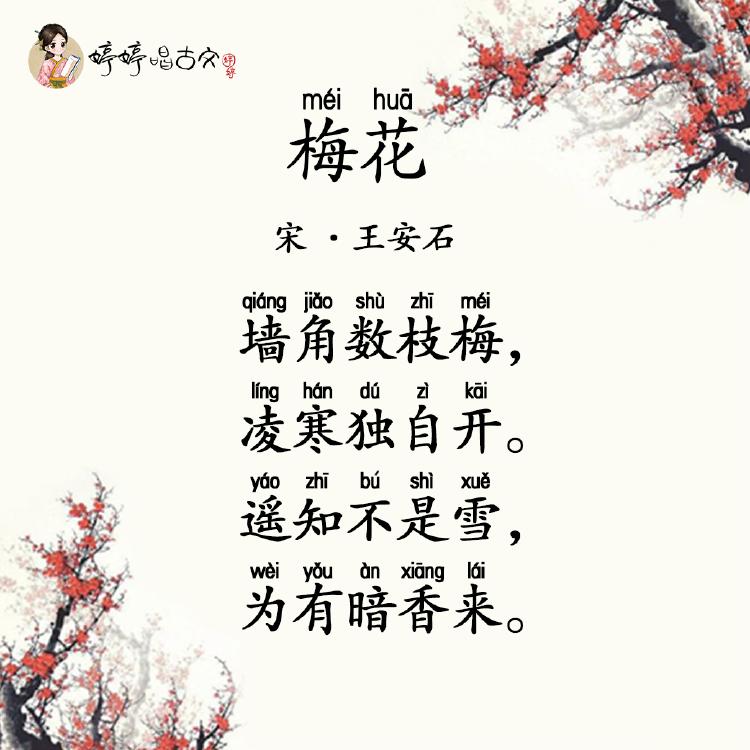 梅花歌曲(梅花歌曲民国完整版)