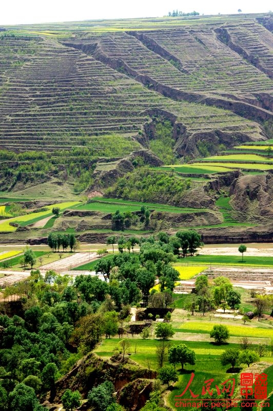 即广义的"子午岭",包括横岭,斜梁,老爷岭,青龙山,子午岭(狭义)等山脉