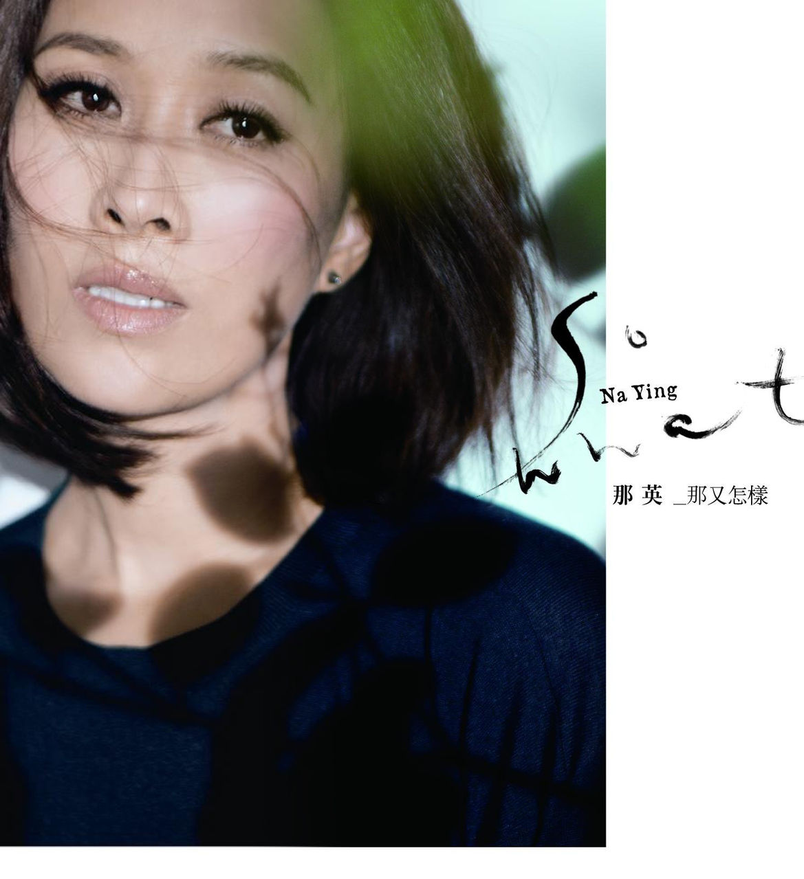 data-lemmaid="357092">那英 /a>演唱的一首歌曲,收录于《那又怎样》