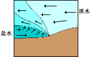 下层,随涨潮力沿岸上溯,在咸淡水交界面产生剪切力,剪切力与水的坡降