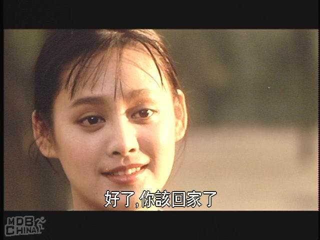 阳光灿烂的的日子