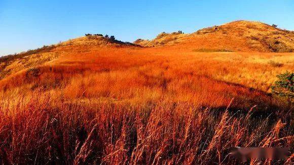 data-lemmaid="153775">河北省 /a>承德市承德县,地处 a target="