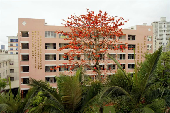 莆田市梅峰小学