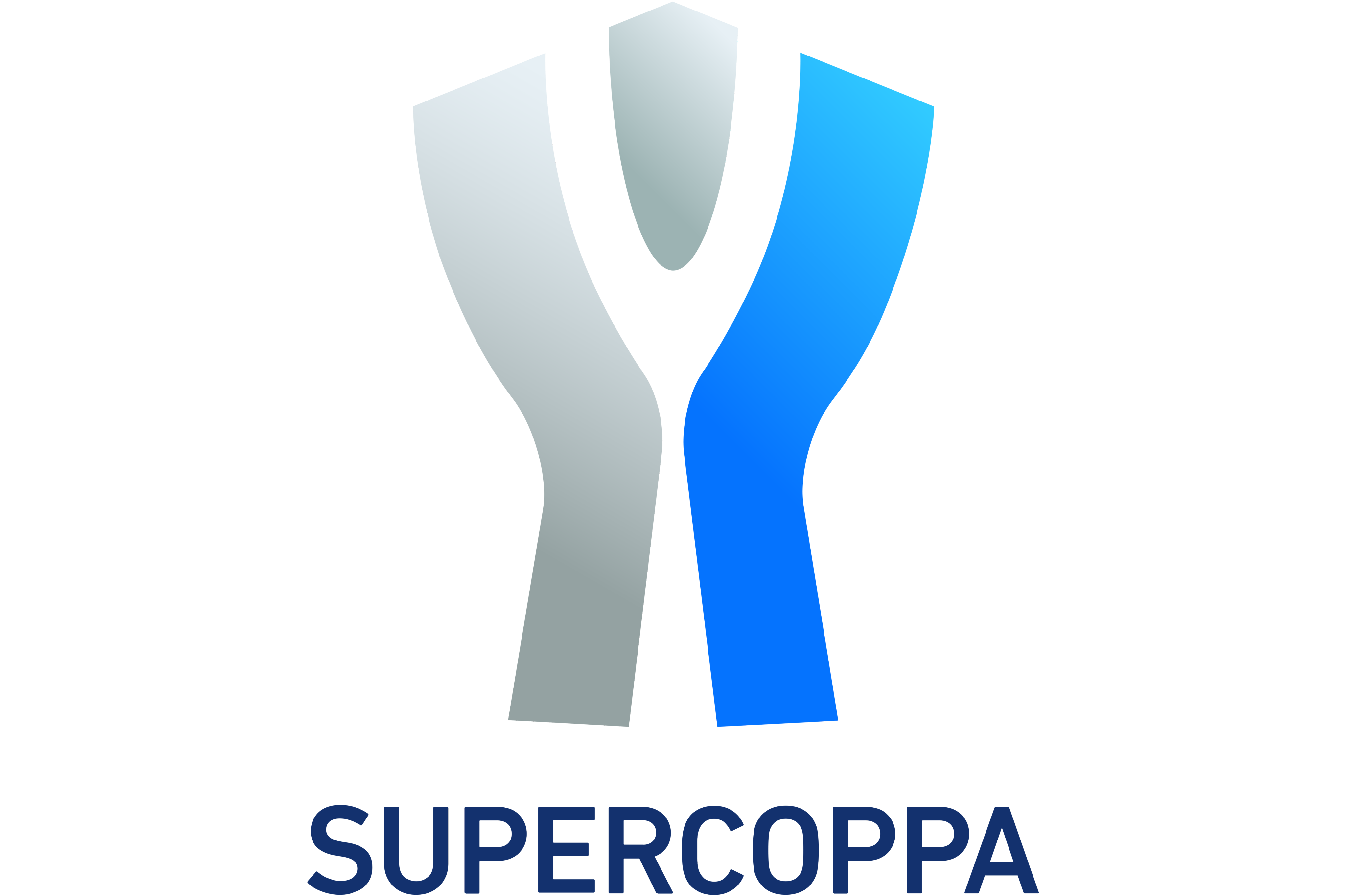 意大利语/676435" data-lemmaid="676435">意大利语 /a>:super coppa