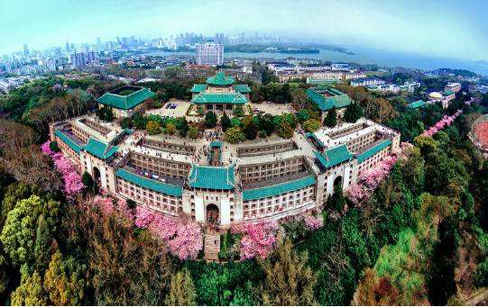 武汉大学