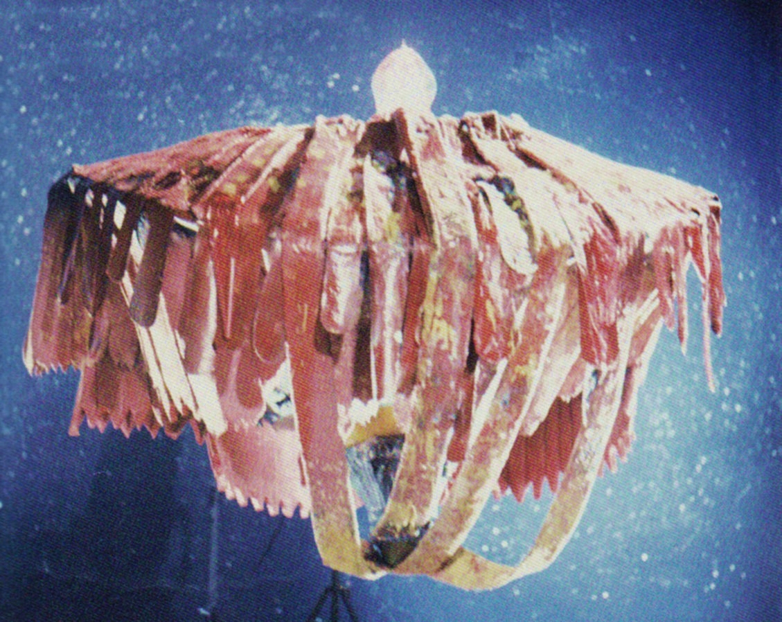 从布莱克星飞来的头号圆盘生物.