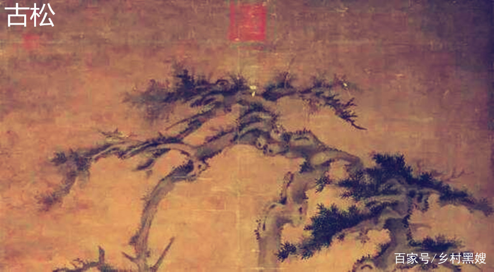 松树啥时候出现的？为什么墓前多栽松？一口气搞懂松树的前世今生_百科TA说