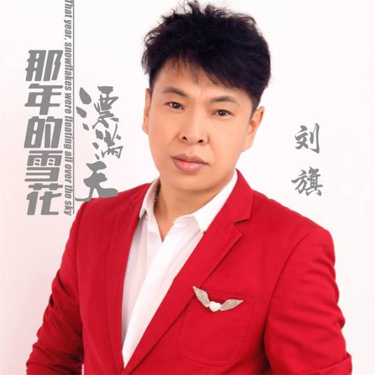 那年的雪花飘满天（刘旗演唱歌曲）_百度百科