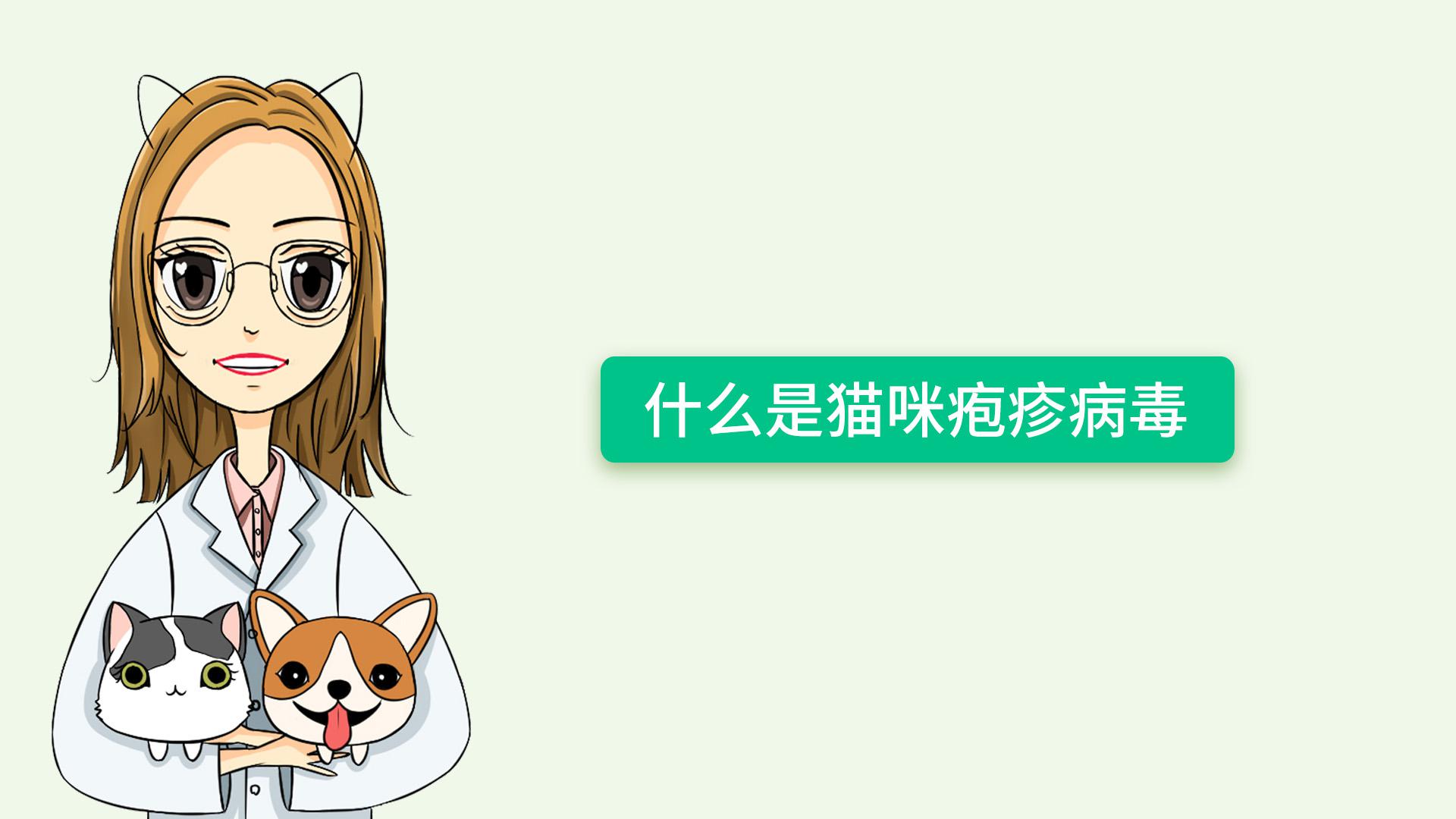 猫咪眼屎变多、咳嗽流鼻涕?别忽视了疱疹病毒!