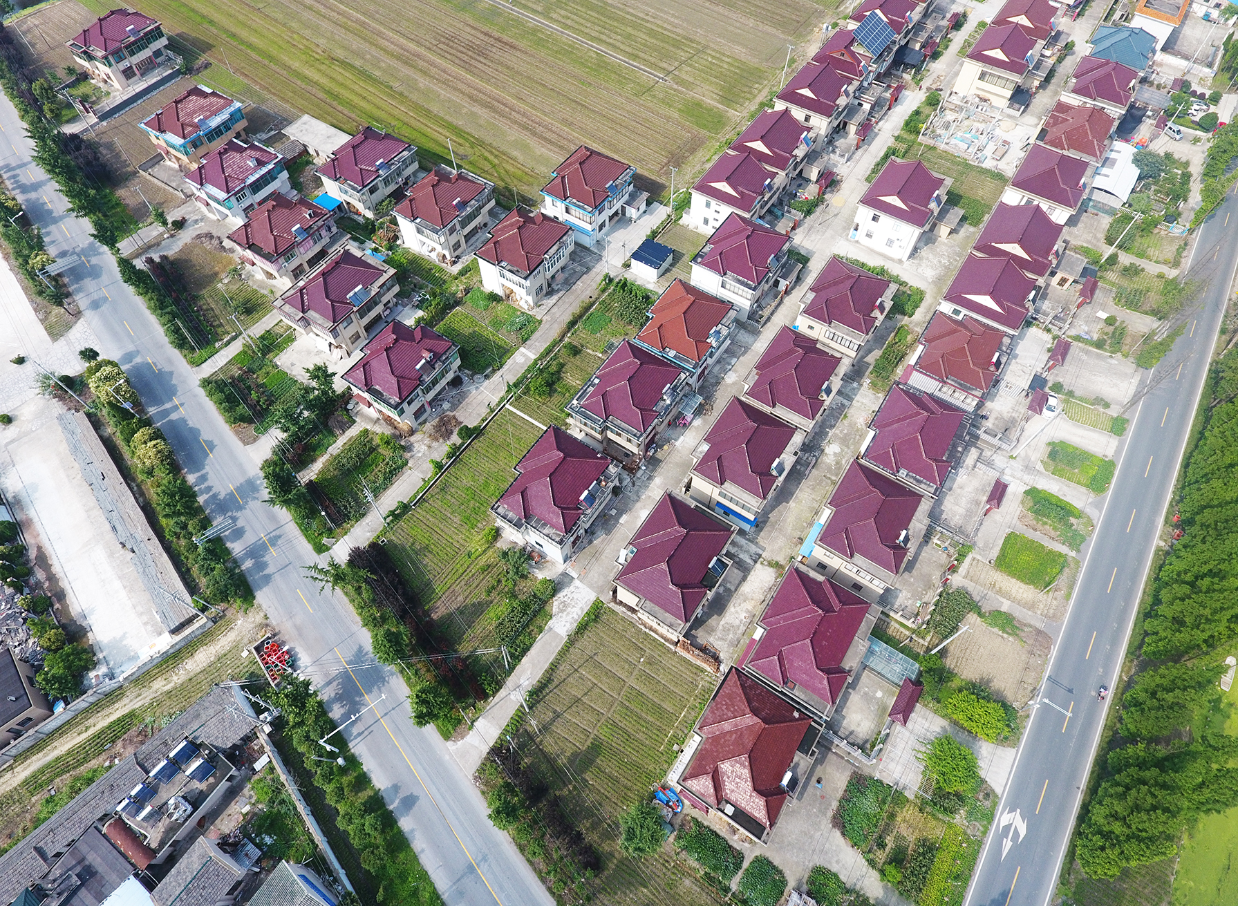  p data-id="gn35frz7em">仙河村位于东台市五烈镇政府南首,美丽传说