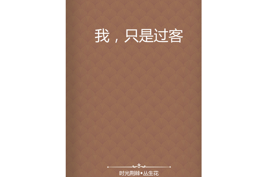 我,只是过客