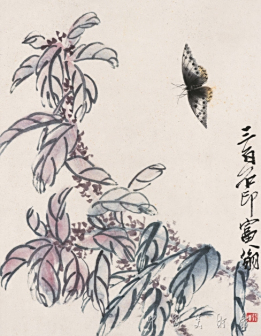老少年蝴蝶