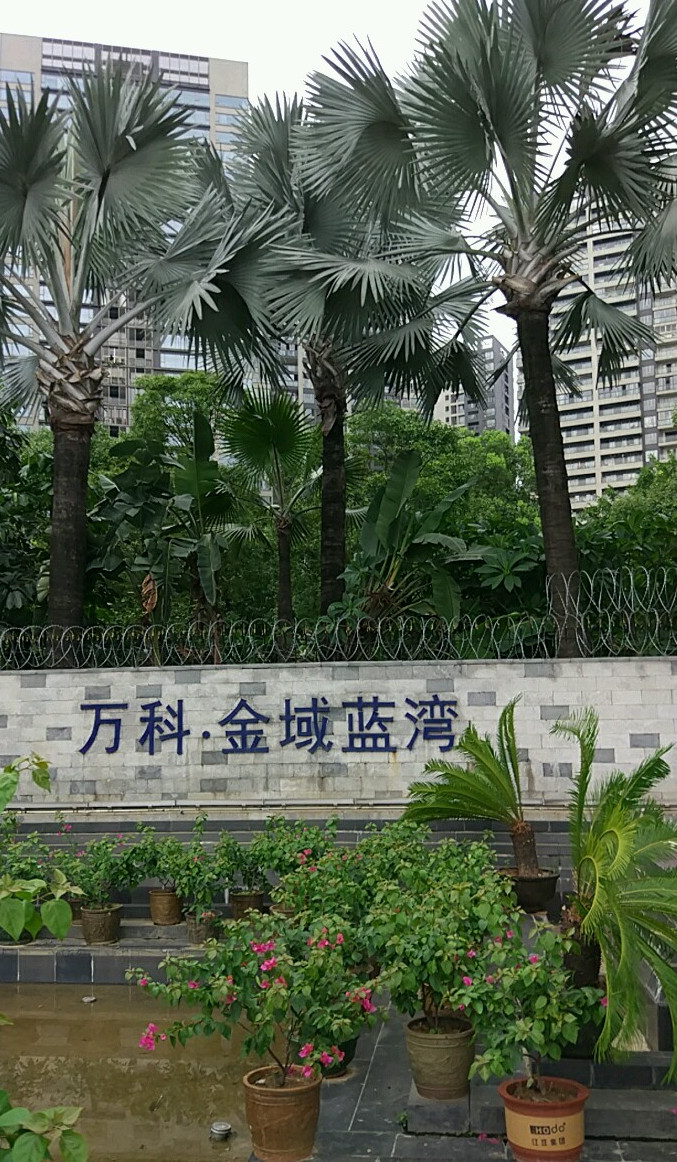 由 a target="_blank" href="/item/佛山市南海区万科金域蓝湾房地产