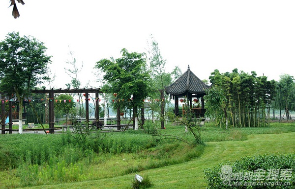  p data-id="gnc0fci4z8">西江月位于成都市青白江区祥福镇,地处毗河