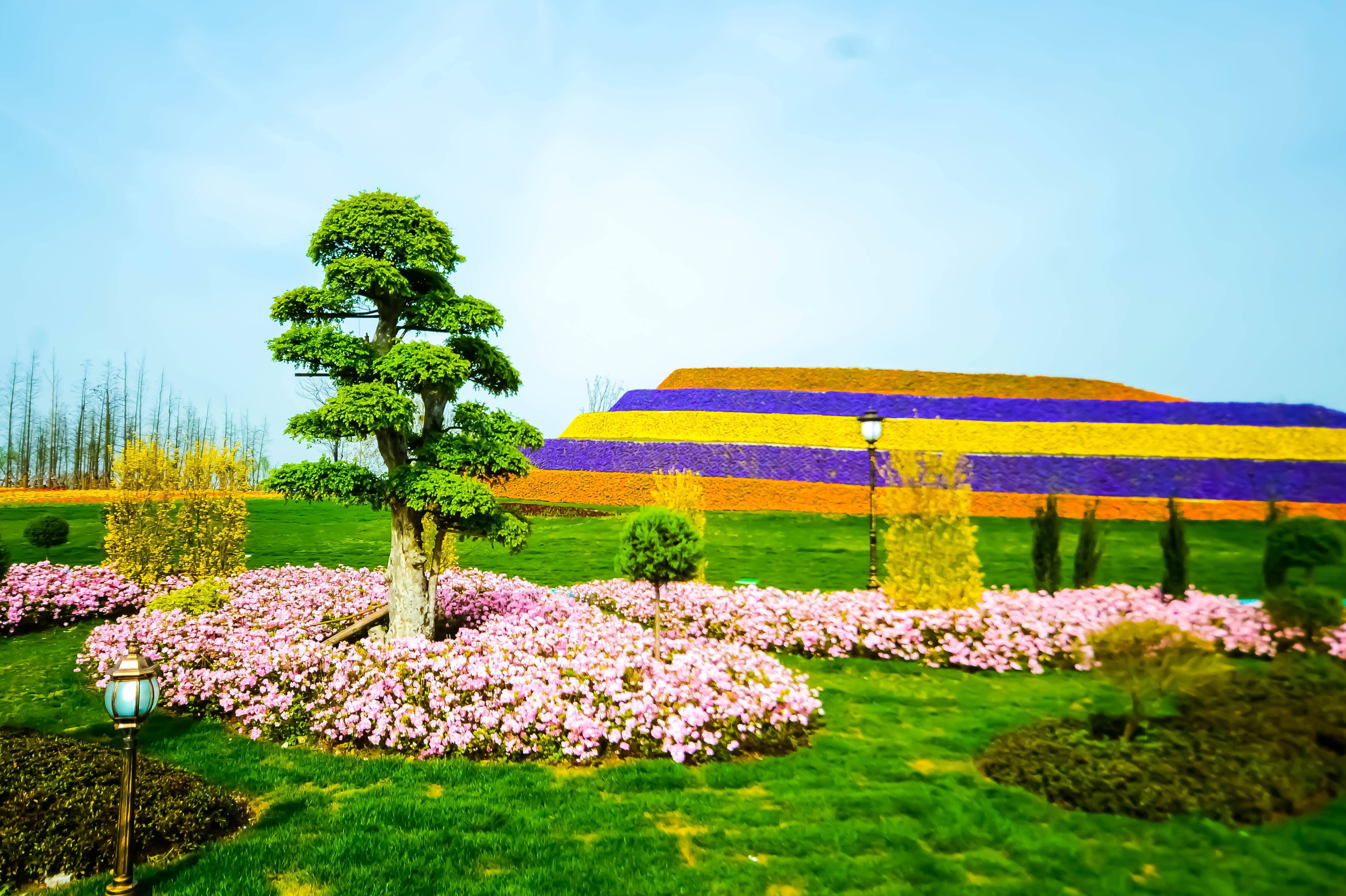 马可波罗花世界乐园