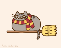 pusheen