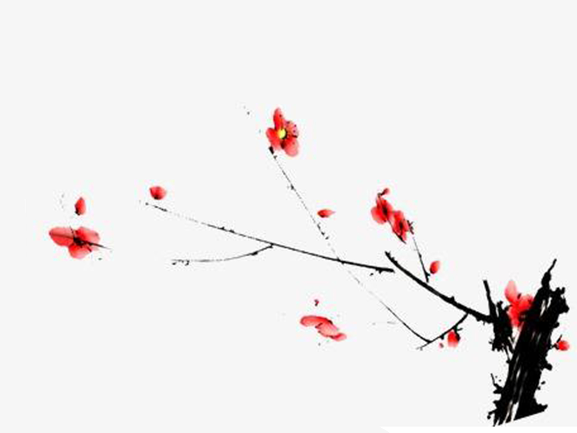 一剪梅·一剪梅花万样娇