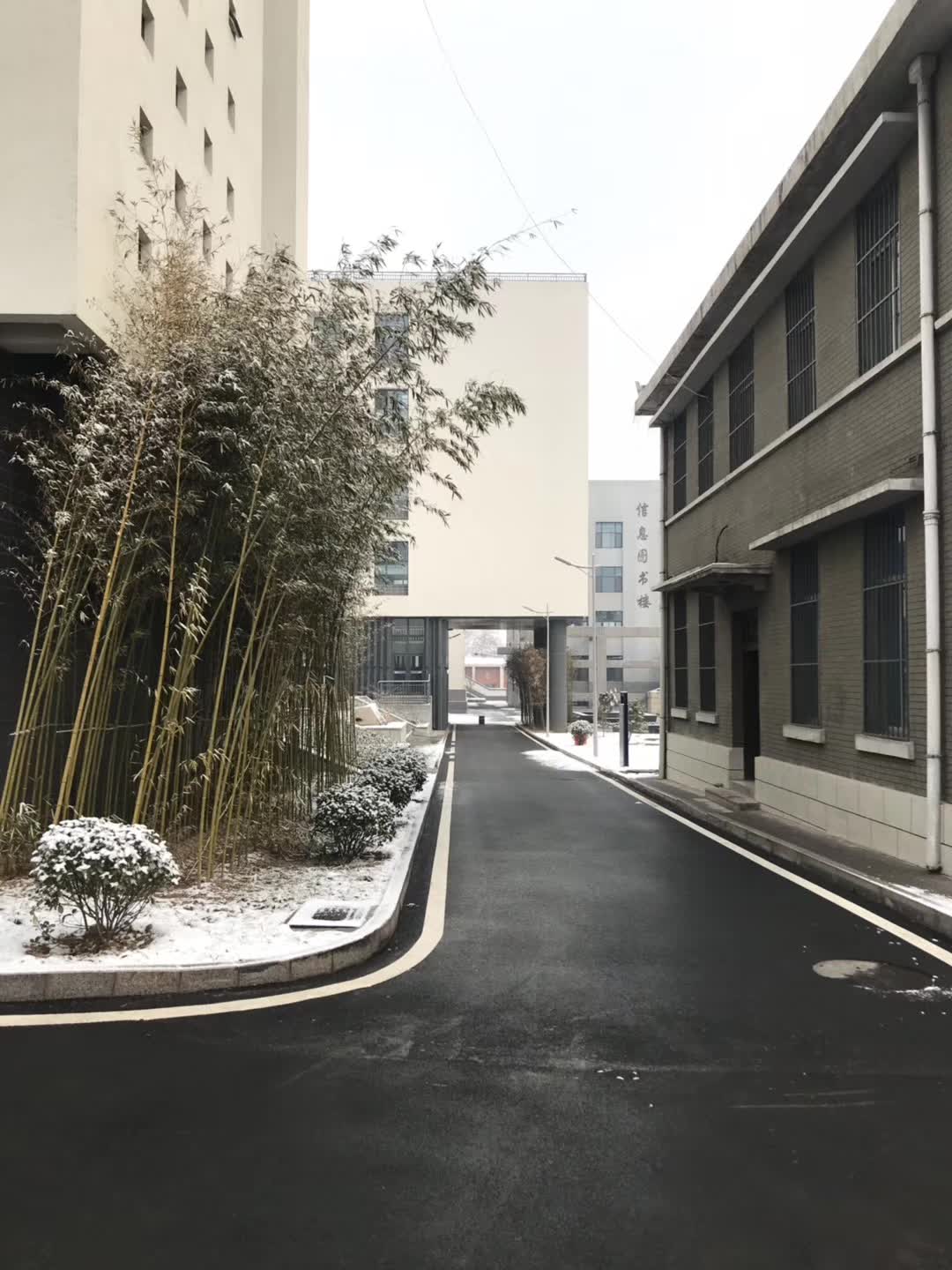 山东省淄博第一中学