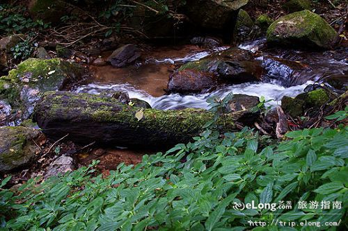  p data-id="gn604qly1r">勐马瀑布是位于云南省普洱市孟连傣族拉祜族