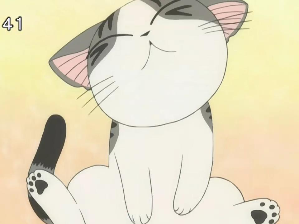 甜甜私房猫