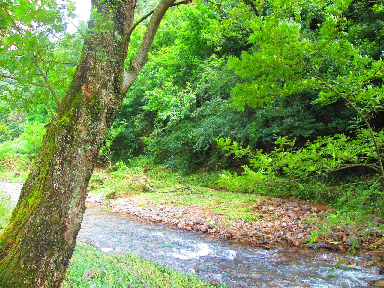 山重水复疑无路，柳暗花明又一村_百度百科