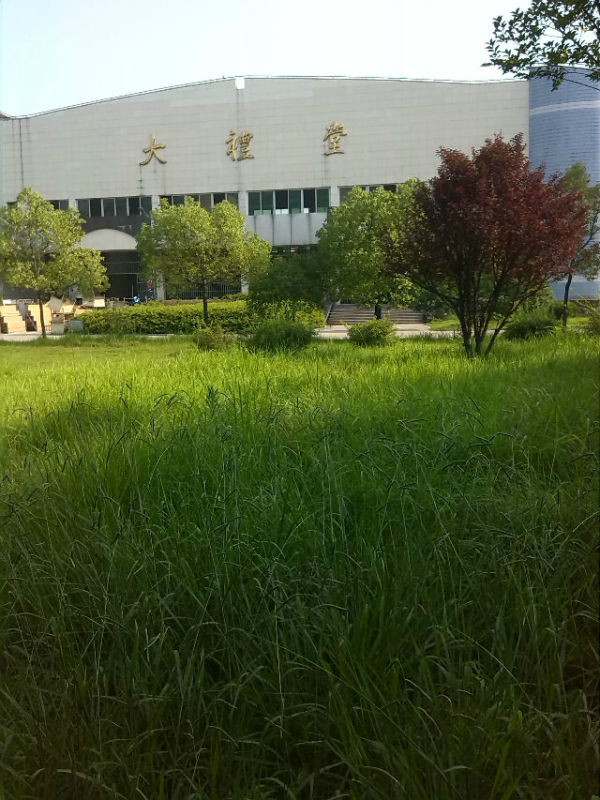 英山县一中