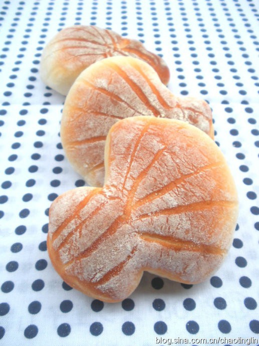 贝壳面包