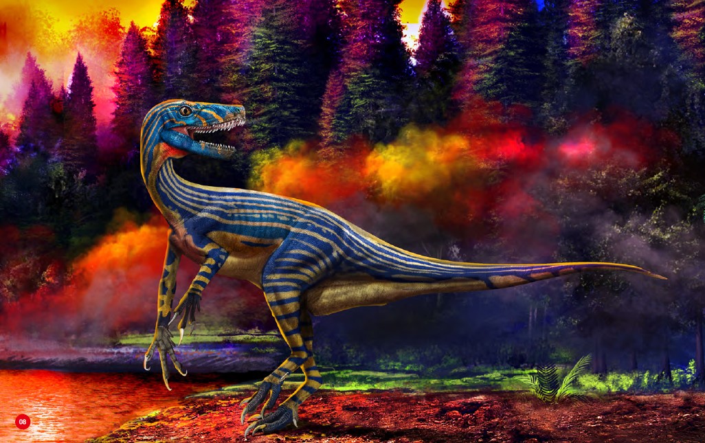 艾雷拉龙(herrerasaurus)