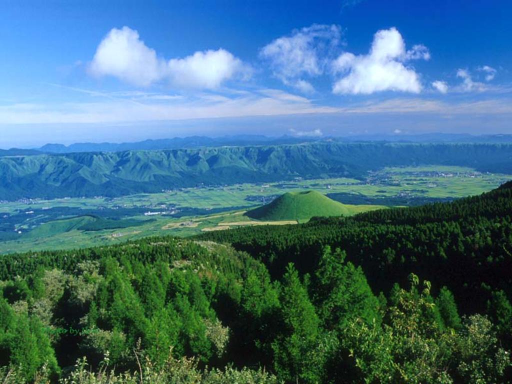  p data-id="gnx576m61j">内蒙古大青山位于阴山山脉中段,其生态区位